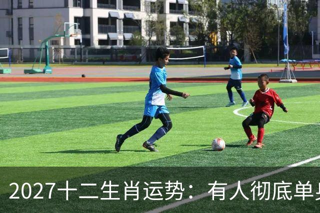 2027十二生肖运势：有人彻底单身，有人乘风而起，有人要防住小人